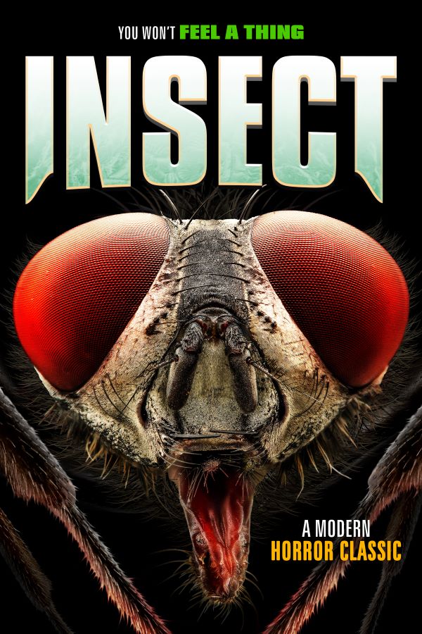 Insect